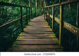 Lekki Conservation Centre